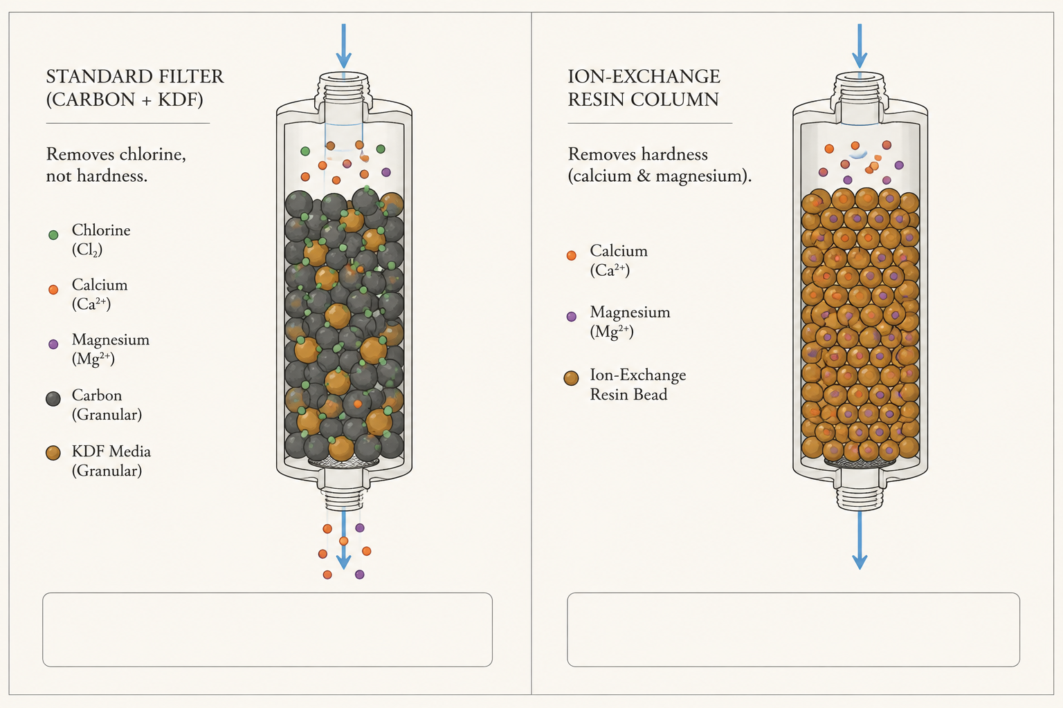 Side by side diagram. A carbon filter captures chlorine while dissolved calcium and magnesium pass through. Ion-exchange resin holds the hardness minerals and releases softened water.